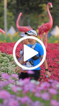 BIB:  <button type="button" onclick="openModal(27582951)" class="btn btn-primary btn-sm float-right" data-toggle="modal" data-target=".modal-high-quality">
                <i class="fa fa-download"></i> Download
                </button>